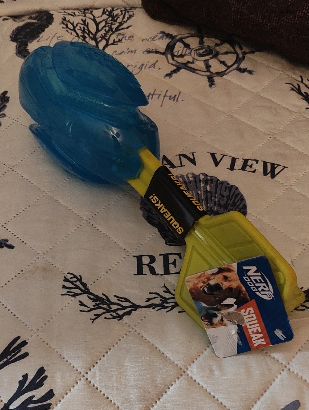 PETS: SUMMER BEACH NERF DOG TOY